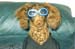 dog5_sunglasses