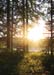 golf_athabasca
