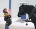 horse2