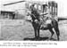 lhistory_olson