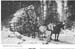 mhistory_logging