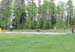 milk-carton-cricket