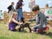 pettingzoo2