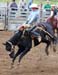 rodeo2