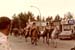 rodeo4a